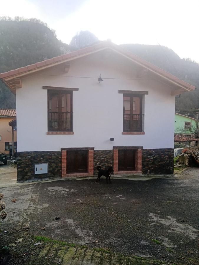 Casa Rural Gueilones, Parque Natural De Ponga Sobrefoz المظهر الخارجي الصورة